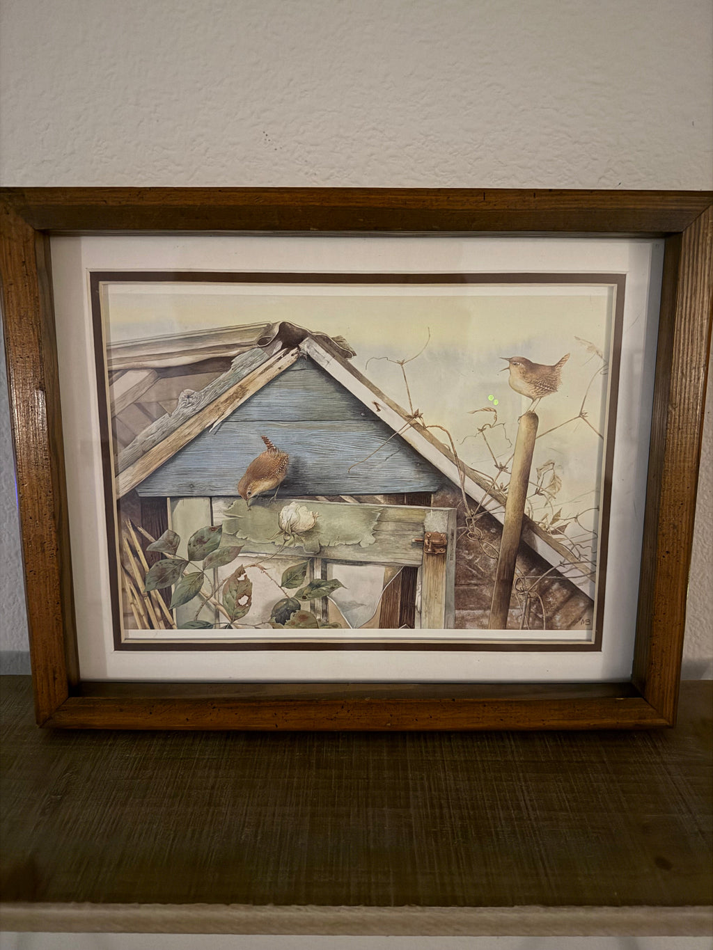 Bird Song print by Marjolein Bastin Vintage Framed Print