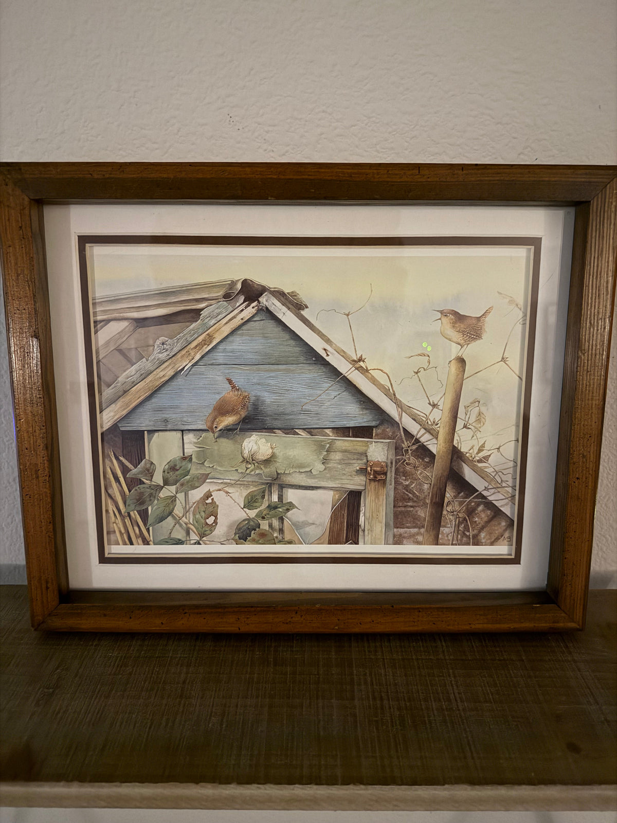 Bird Song print by Marjolein Bastin Vintage Framed Print