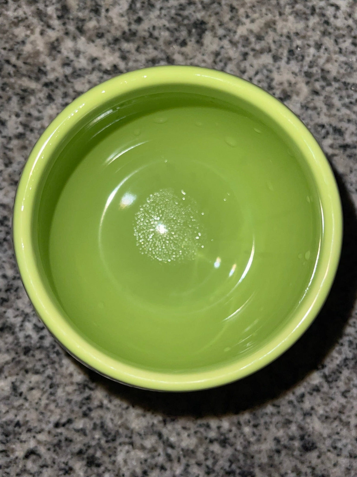 Rae Dunn “SPROUT” Green Ceramic Planter — Artisan Collection by Magenta