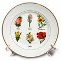 3dRose Vintage Botanical Floral Flowers - Antique Flower Art Illustration - Plates (cp-364634)