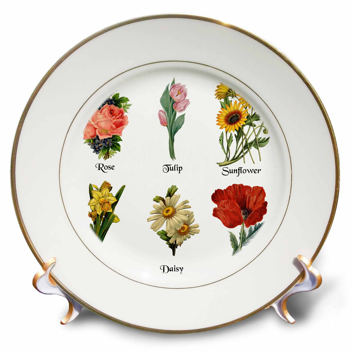 3dRose Vintage Botanical Floral Flowers - Antique Flower Art Illustration - Plates (cp-364634)