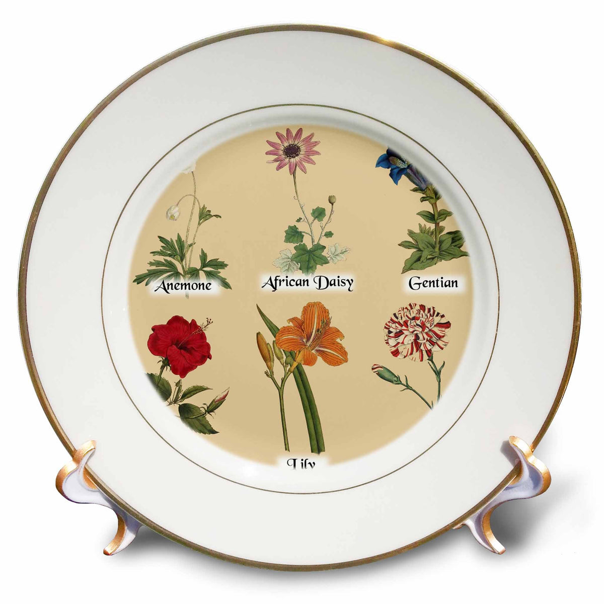 3dRose Vintage Botanical Flowers - Antique Floral - Beautiful Flower Art - Plates (cp-364635)
